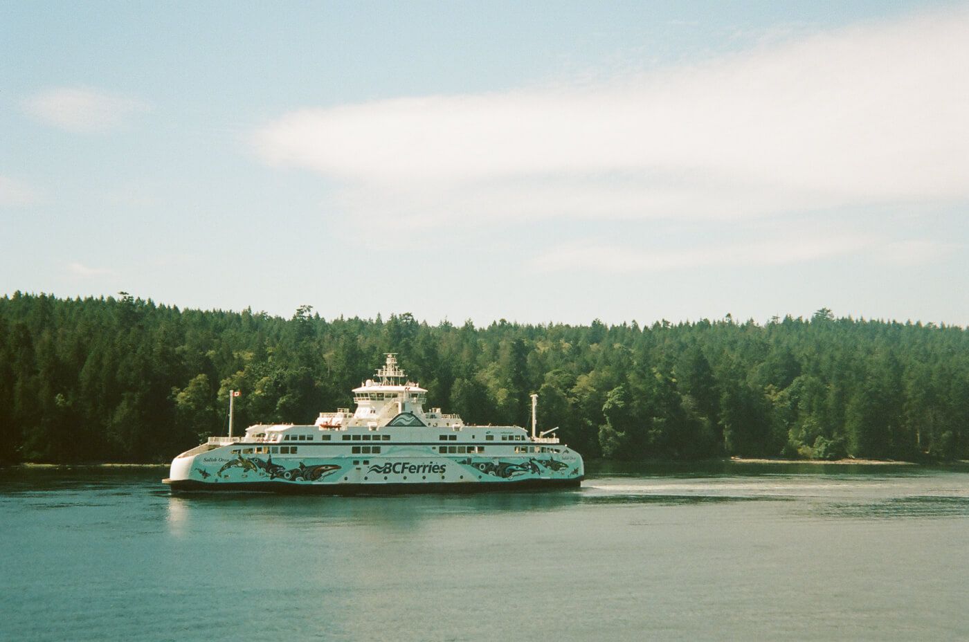 A ferry going past land with lots of trees.