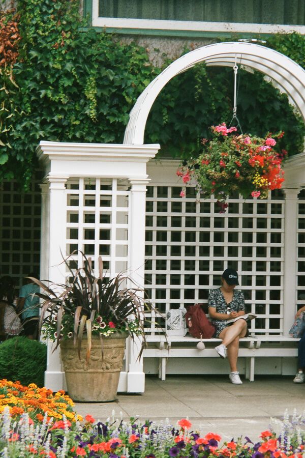 A figure reading on a bench surrounded by flowers.