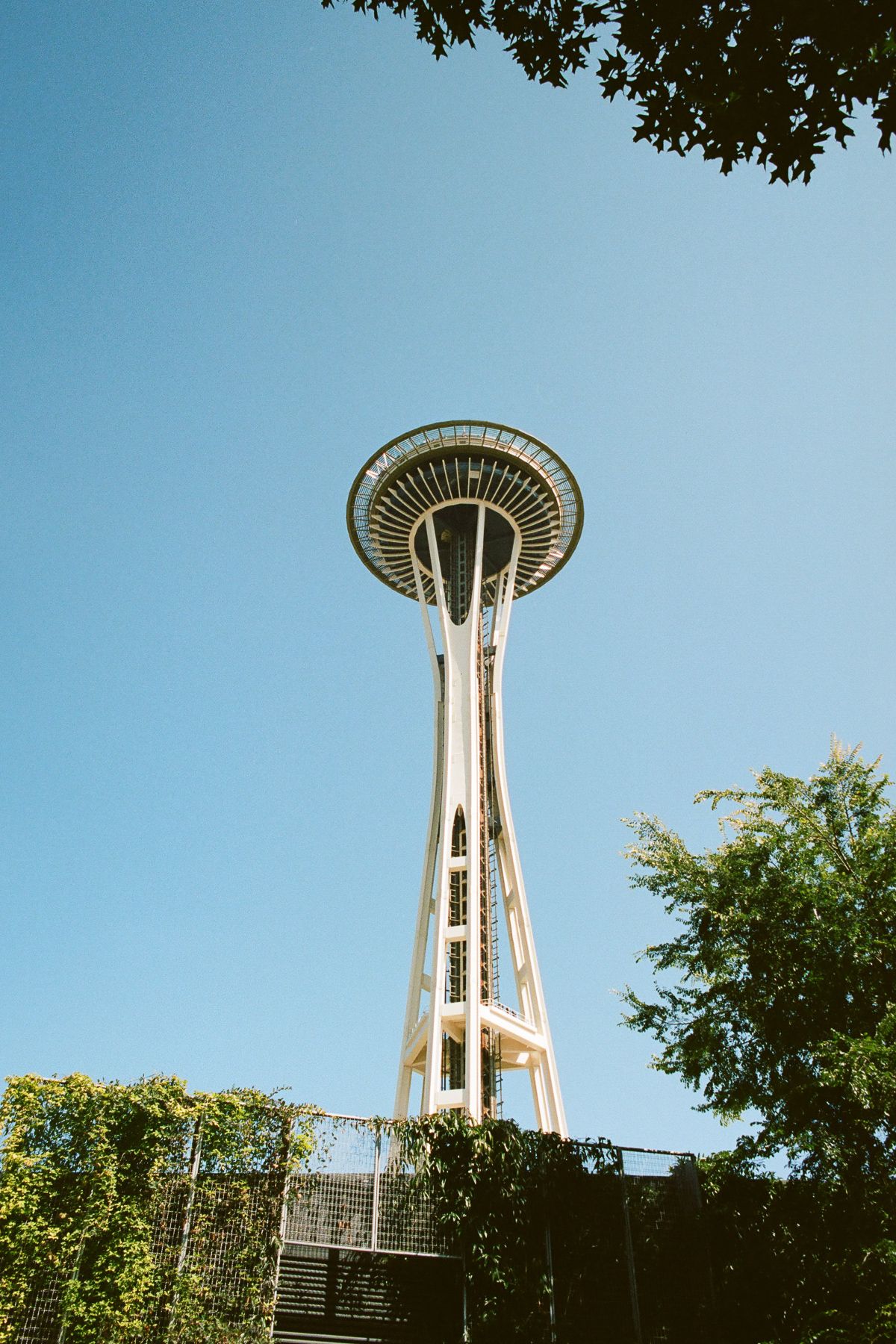 Looking up at the Space Needle.