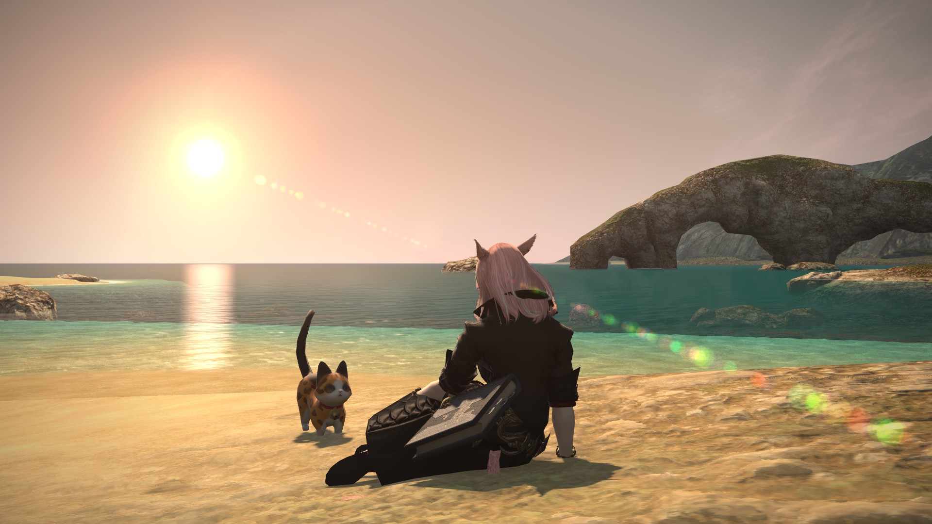My character sitting on the beach at sunset, looking at her cat minion.