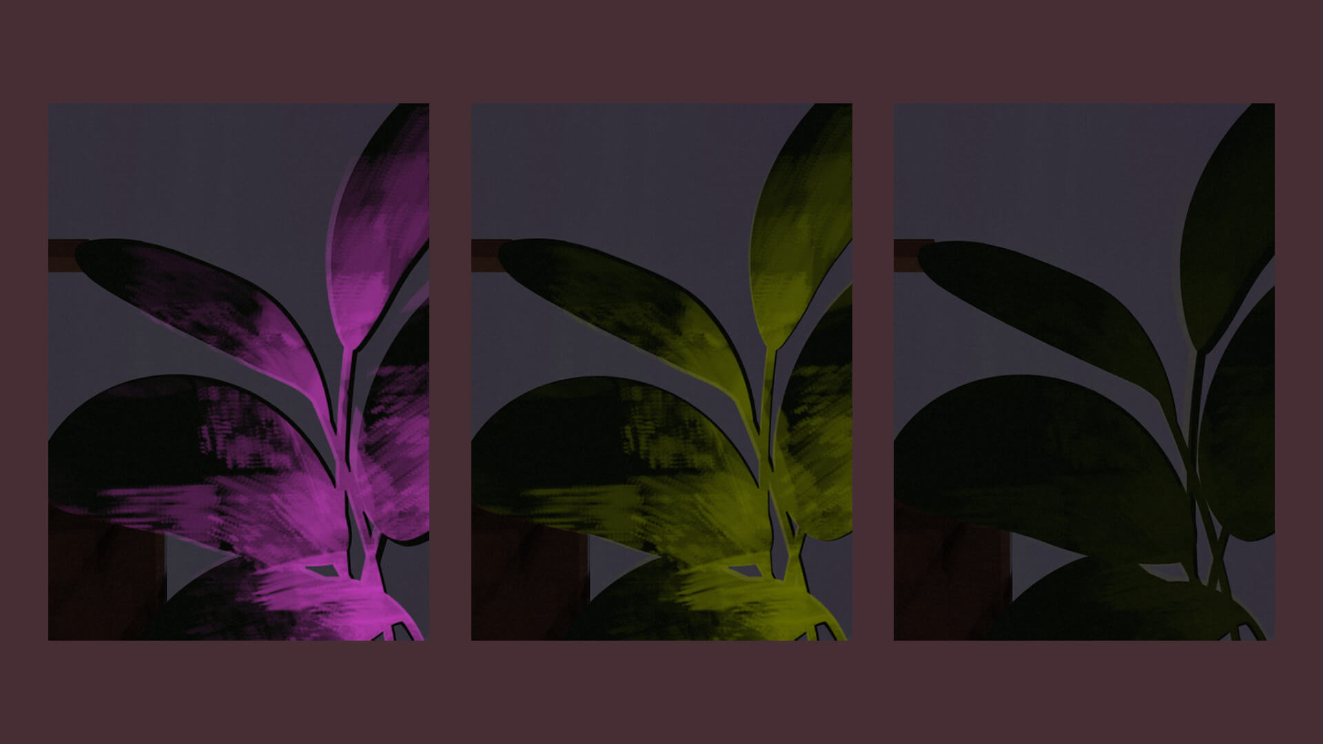 Comparison of three plants: the first has the vivid fuchsia texture on top of the black plant shape, the second changes the texture to be green, and the third's texture is dimmed to be only slightly visible.
