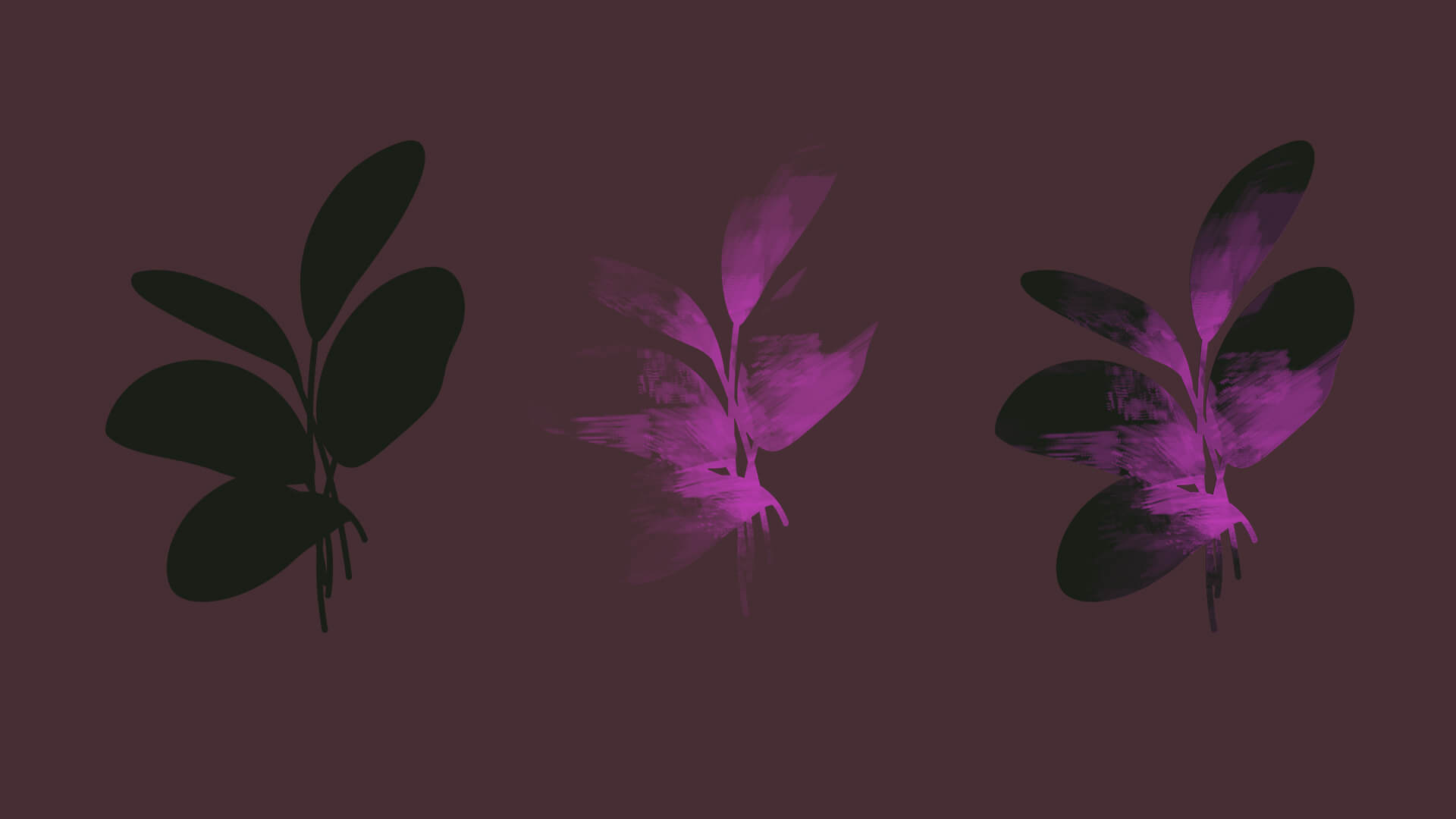 Three images: the outline of the plant, the transparent texture, and the two combined.