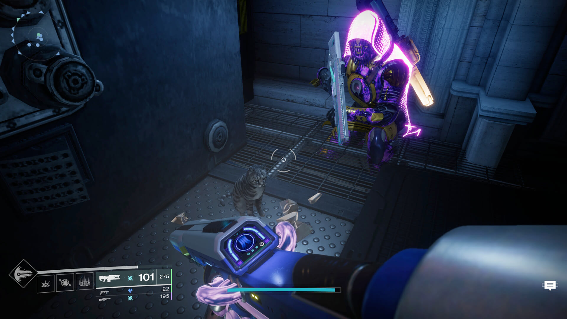 Destiny screenshot of a little tabby cat, surrounded by guardians looking down at it.