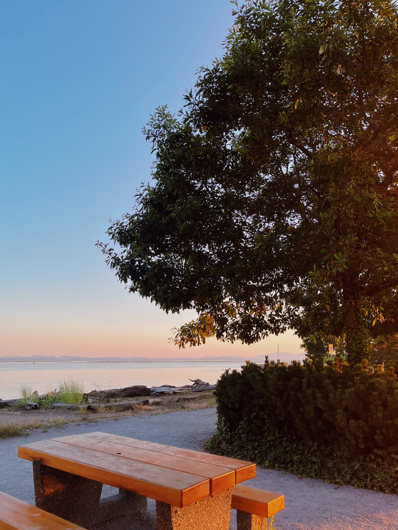 A park bench, trees, and water in the distance, during sunset.