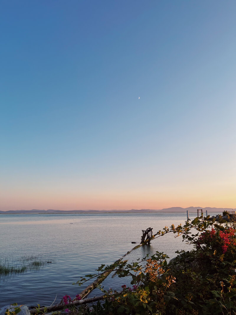 Water during sunset, with the sky turning pink and pale yellow. There's a tiny sliver of moon in the sky.