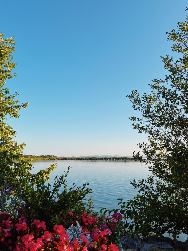 View of a body of water, framed by trees on either side.