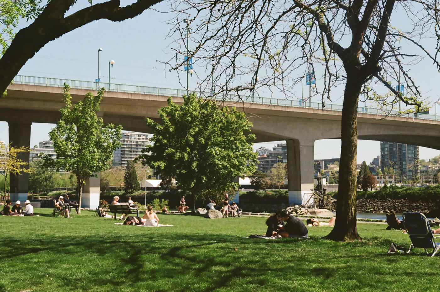 A grassy field with people lounging about on picnic blankets and benches on a sunny day.