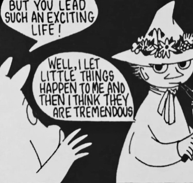 Moomins comic panel. Moomintroll says, 'But you lead such an exciting life!', to which Snufkin responds, 'Well, I let little things happen to me and then I think they are tremendous.'