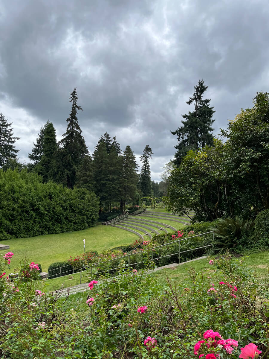 Looking down part of a grassy amphitheatre, which is framed by roses from above.