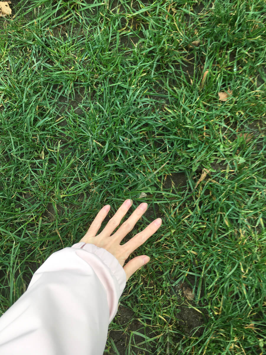 My hand touching grass