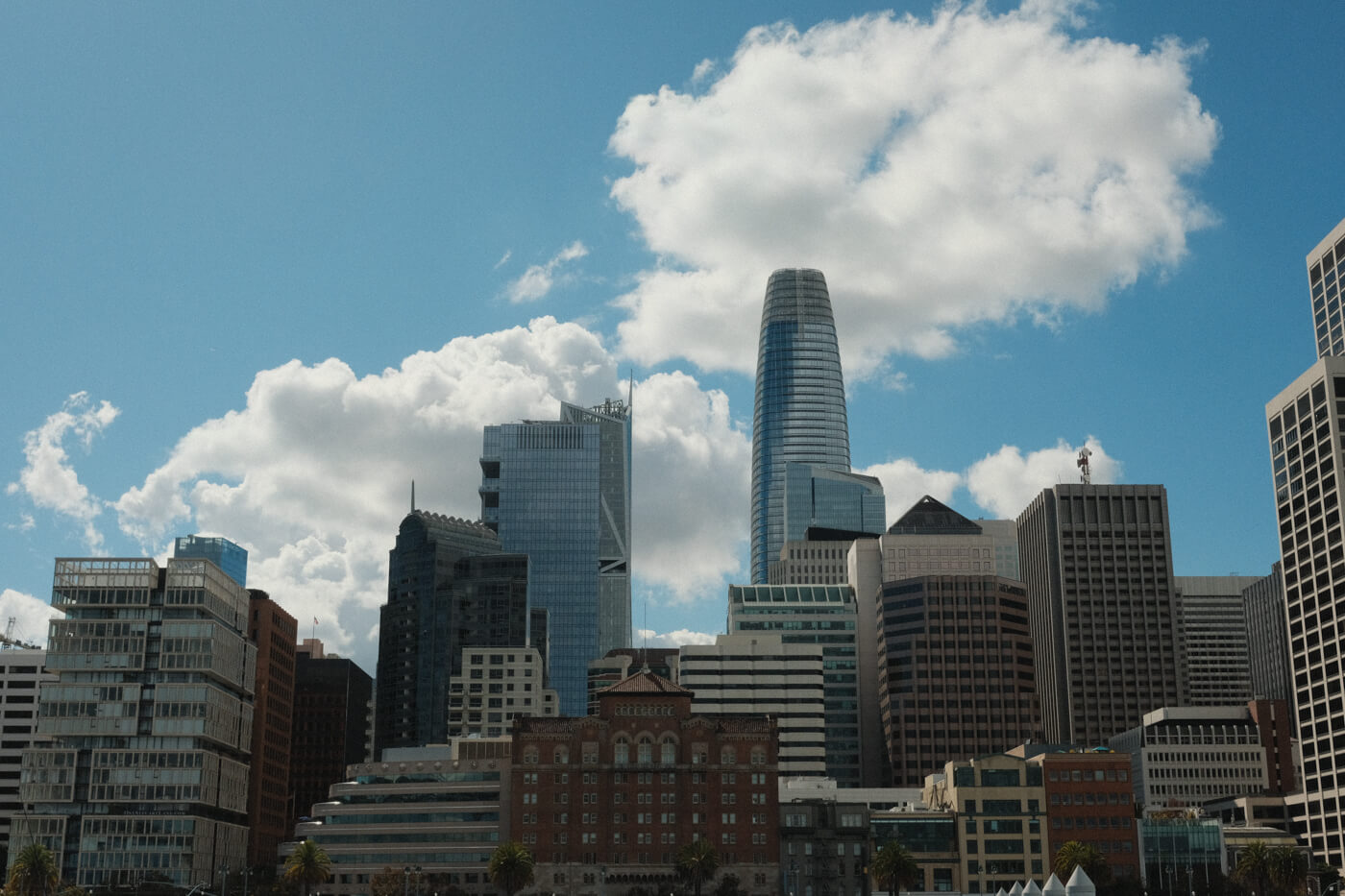 The cityscape, with the shiny, phallic shape of the Salesforce tower standing out against the sky.