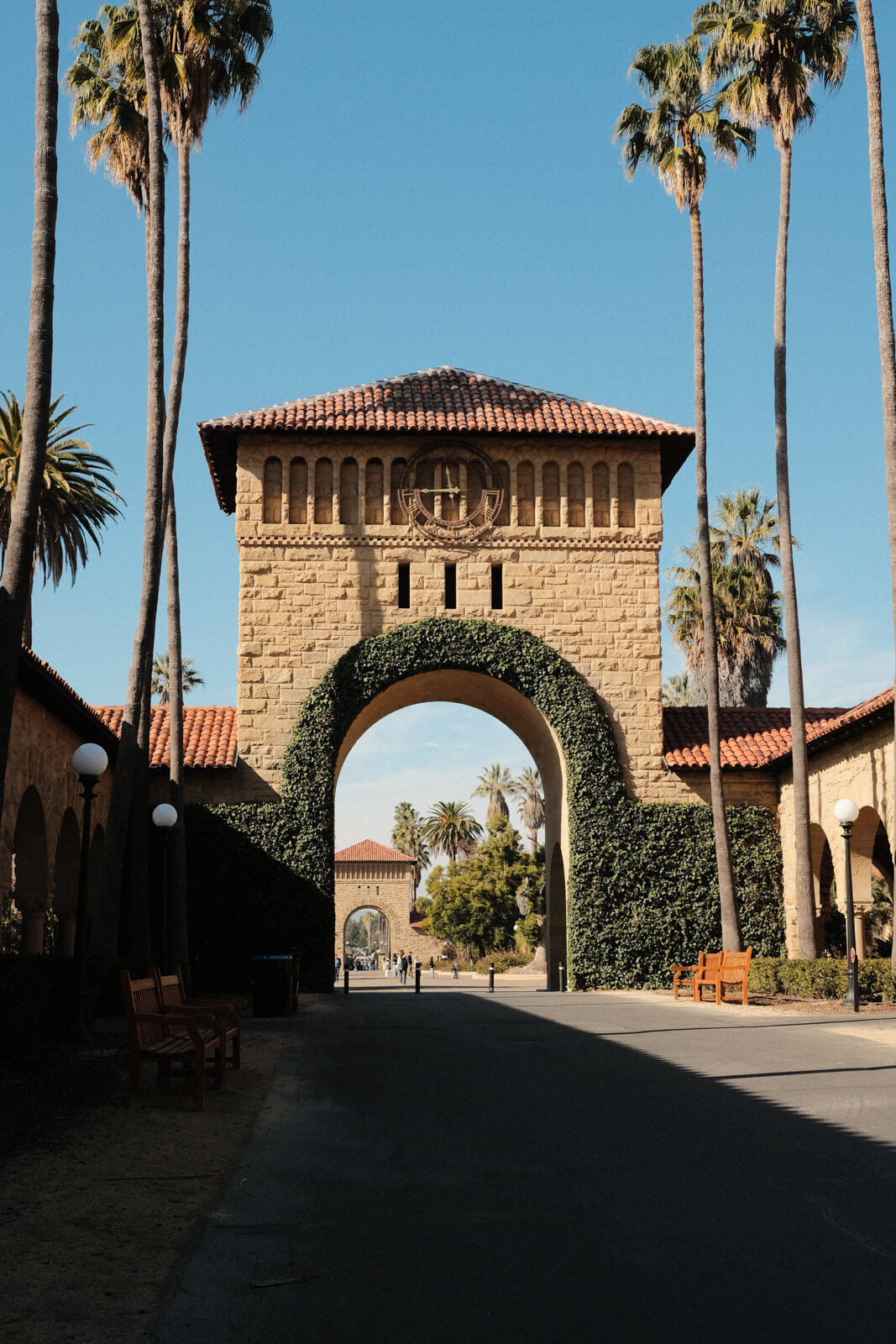 A large archway outside, framed by greenery and palm trees.