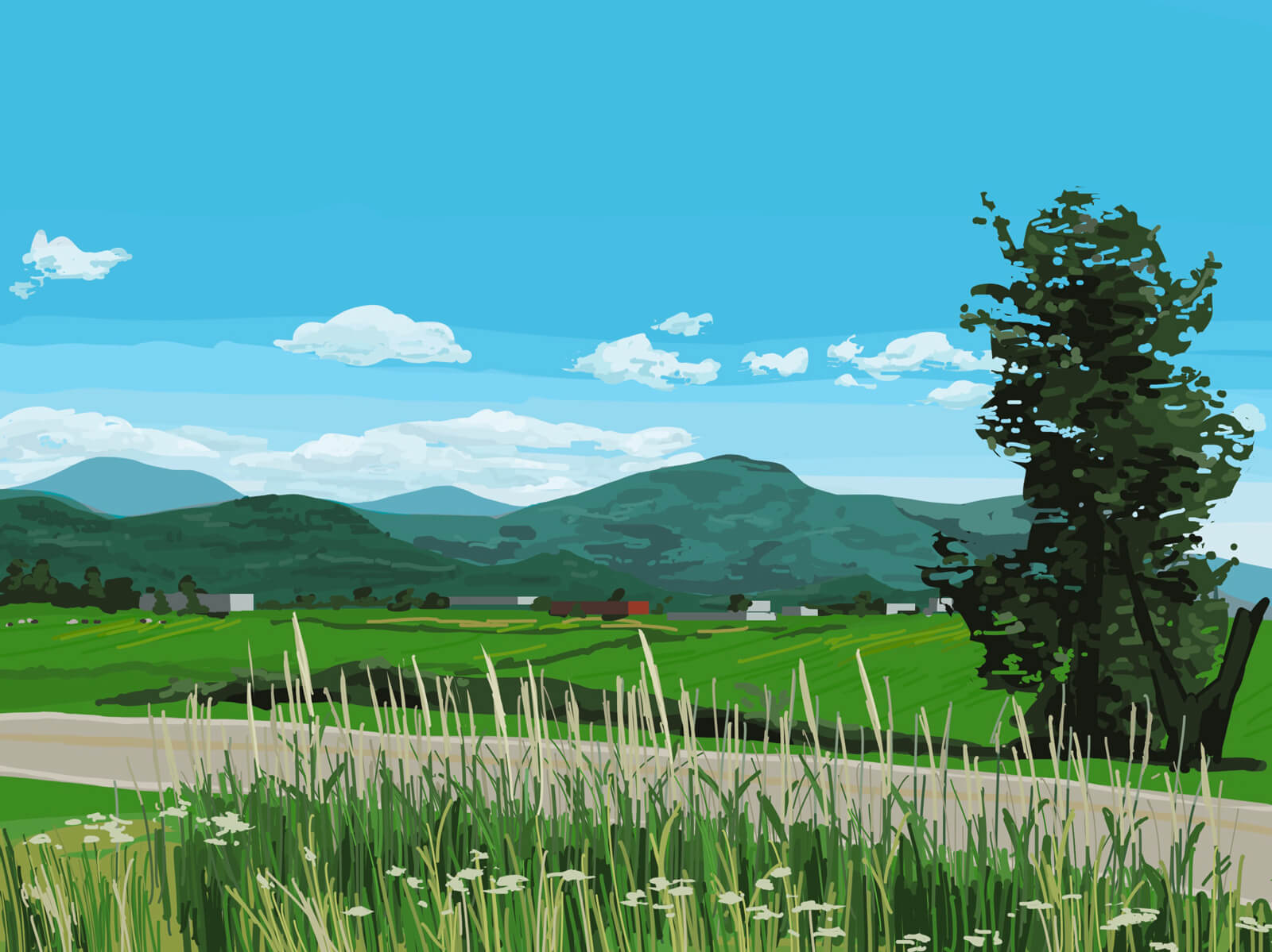 Sketchbook: collection of drawings.