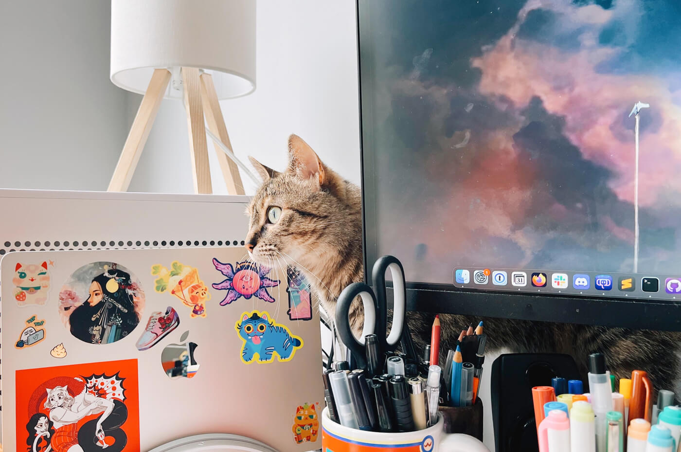 Sophie, a tabby cat, peeks out from behind my computer monitor, staring off into the distance. My desk is otherwise crowded with pens, my PC, and laptop.
