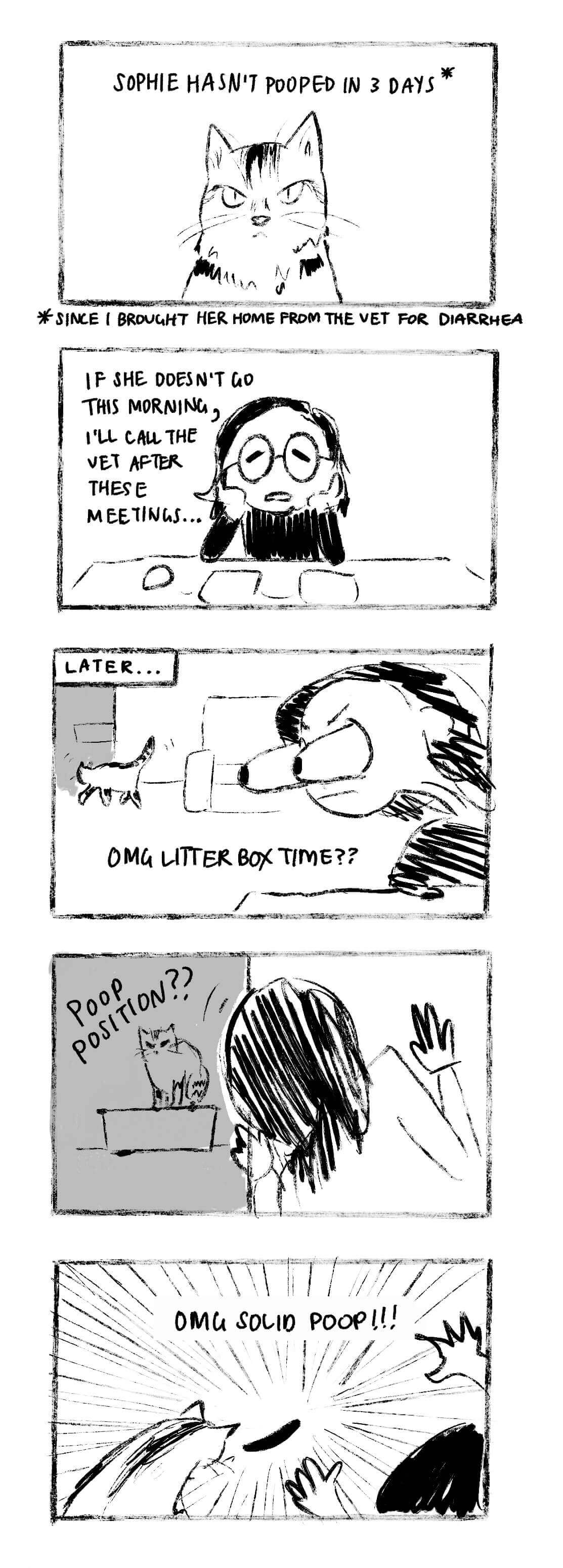 5-panel comic. Sophie, my cat, hasn’t pooped in three days, since I brought her home from the vet for diarrhea. Sitting at my desk, I’m thinking, “if she doesn’t go this morning, I’ll call the vet after these meetings.” Later, I see her head to the litter box, and spy on her assuming her pooping position. Surprise: she poops a solid log!